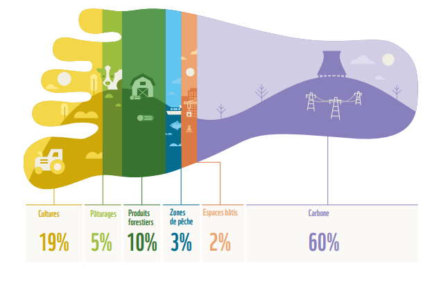 Répartition de l'empreinte écologique mondiale par composante